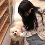 九游风之大冒险手游下载